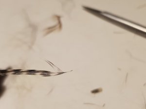 20180818_134409.jpg 20180818_134409.jpg