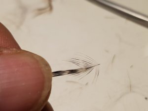 20180818_134341.jpg 20180818_134341.jpg