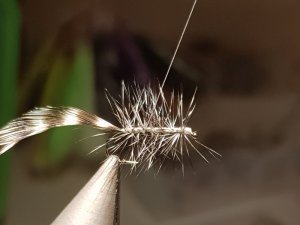 20180818_142703.jpg 20180818_142703.jpg