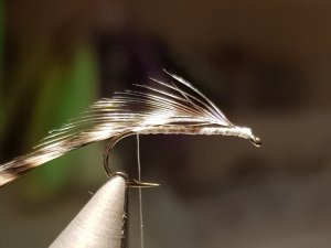 20180818_142529.jpg 20180818_142529.jpg