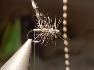 20180818_142620.jpg 20180818_142620.jpg