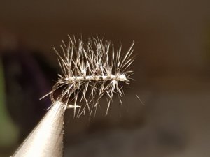 20180818_142839.jpg 20180818_142839.jpg