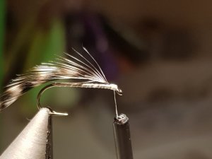 20180818_142449.jpg 20180818_142449.jpg