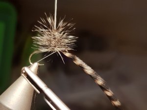 20180818_152240.jpg 20180818_152240.jpg