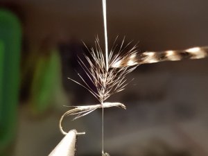 20180818_152142.jpg 20180818_152142.jpg