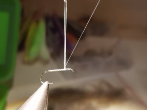 20180818_151858.jpg 20180818_151858.jpg