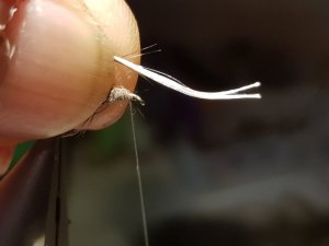 20180818_152440.jpg 20180818_152440.jpg