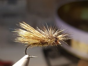 20180512_104454.jpg 20180512_104454.jpg