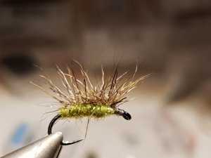 20180402_201742.jpg 20180402_201742.jpg