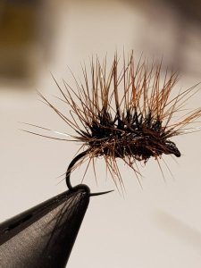 20180317_182016.jpg 20180317_182016.jpg