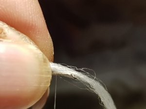 20180818_172723.jpg 20180818_172723.jpg