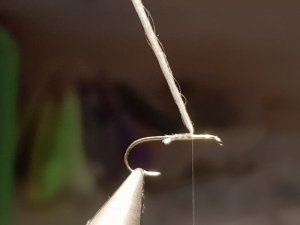 20180818_172812.jpg 20180818_172812.jpg