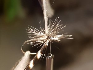 20180818_173224.jpg 20180818_173224.jpg