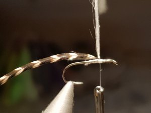 20180818_172947.jpg 20180818_172947.jpg