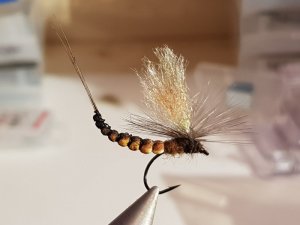 20180321_231435.jpg 20180321_231435.jpg