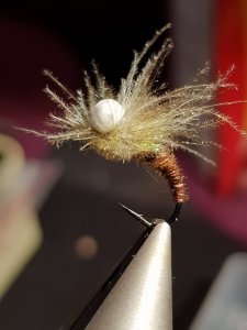 20180309_221553.jpg 20180309_221553.jpg