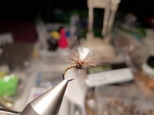 20180105_181021.jpg 20180105_181021.jpg