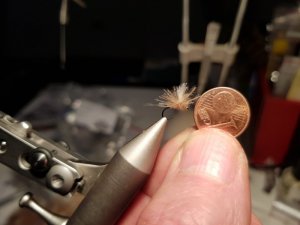 20171230_183000.jpg 20171230_183000.jpg