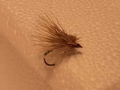 Mercer's Missing Link.webp