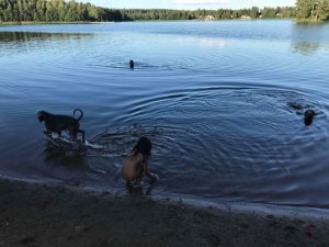 10D439E1-575E-4163-9827-DD0448850DFF.jpeg 10D439E1-575E-4163-9827-DD0448850DFF.jpeg