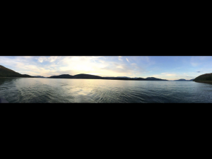 5735F866-3E34-4019-8350-EBE768CADB47.png 5735F866-3E34-4019-8350-EBE768CADB47.png