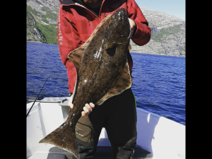 86F4E166-8BF3-4A69-A791-60A7C49EF9EE.png 86F4E166-8BF3-4A69-A791-60A7C49EF9EE.png