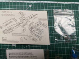 IMG_20180826_204052.jpg