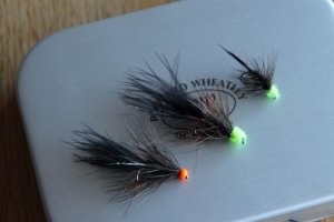 FF_Main1.JPG FF_Main1.JPG