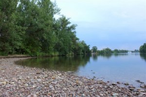 FF_Main2.JPG FF_Main2.JPG