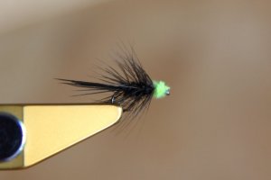 FF_Main5.JPG FF_Main5.JPG