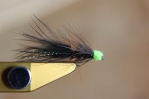 FF_Main6.JPG FF_Main6.JPG