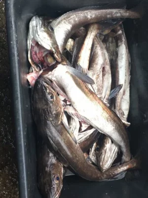 D14D0512-D779-4E58-88F8-DF63B9D9B214.webp D14D0512-D779-4E58-88F8-DF63B9D9B214.webp