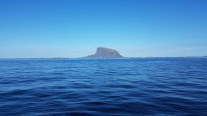 20180907_105102.jpg
