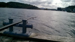 WP_20180905_001.jpg WP_20180905_001.jpg