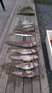 WP_20180907_007.jpg WP_20180907_007.jpg