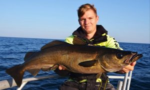 C0B739D0-84AF-4ACF-A301-AE3684173D44.jpeg C0B739D0-84AF-4ACF-A301-AE3684173D44.jpeg