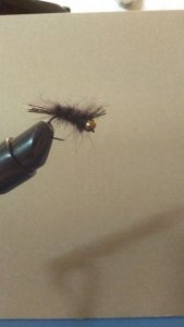 WP_20180912_21_38_01_Pro.jpg WP_20180912_21_38_01_Pro.jpg