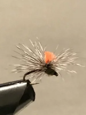 upload_2018-9-21_21-17-9.webp upload_2018-9-21_21-17-9.webp