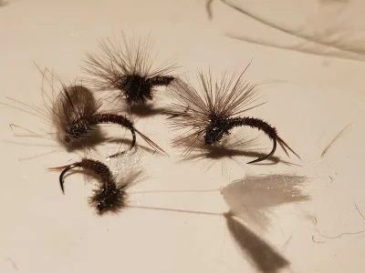 20180922_205452.webp 20180922_205452.webp