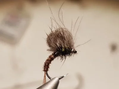 20180922_205342.webp 20180922_205342.webp