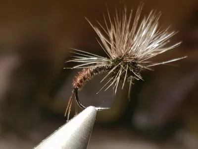 20180922_201012.webp 20180922_201012.webp