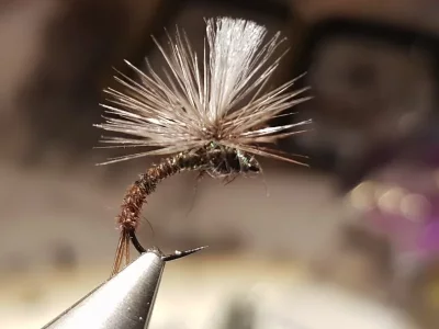 20180922_202624.webp 20180922_202624.webp