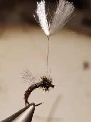 20180922_204105.webp 20180922_204105.webp