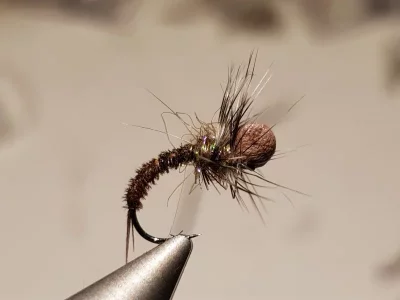 20180923_201210.webp 20180923_201210.webp