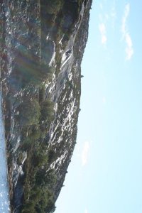 IMG_0206.JPG