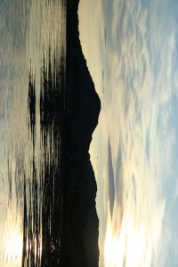 IMG_0264.JPG