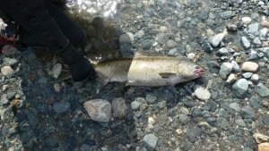 P1000518.JPG P1000518.JPG