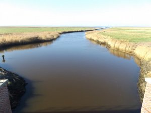 Bröns Pool.JPG Bröns Pool.JPG