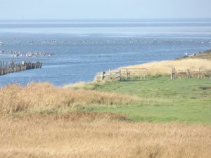 Auslauf ins Wattenmeer.JPG Auslauf ins Wattenmeer.JPG