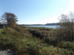 Bröns Möllesö.JPG Bröns Möllesö.JPG